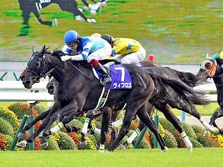 【秋華賞2026予想】牝馬三冠ラストを飾…
