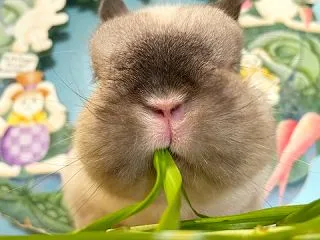 生牧草で感じる季節感