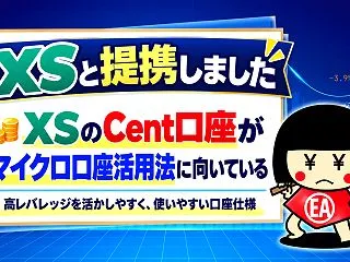 【XS対応開始】マイクロ口座活用法と相性…