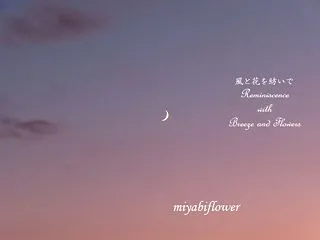 消えてしまっても残るもの 天に月 地に花