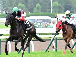 今年の秋華賞は前残りの展開と見ます。モン…