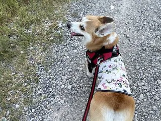 まずい、ぞ。。。