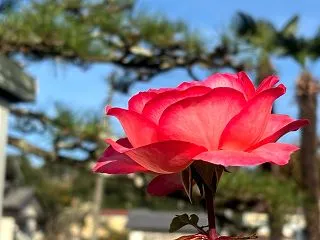 2026.10.17 酒と肴 南南！ミー…