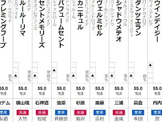 日曜新潟11R 新潟牝馬S 予想