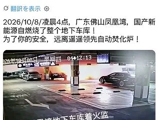 【海外】中国製EVが地下駐車場で突然爆発…