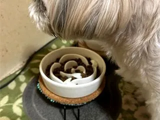 泣けてきた