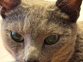 シクったのは自分の責任