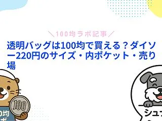 透明バッグは100均で買える？ダイソー2…