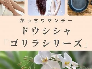 【がっちりマンデー】ドウシシャ「ゴリラシ…