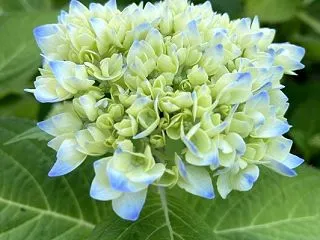 ★遡り★6月 日差しもだんだんと暑く