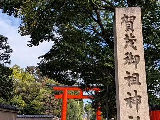 【京都】世界遺産の下鴨神社と糺の森でチョ…