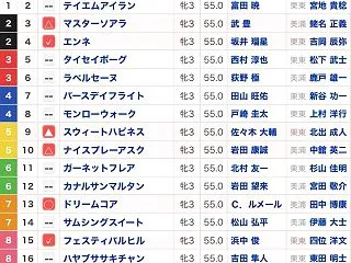 2026 秋華賞 G1 牝馬3冠目 京都…