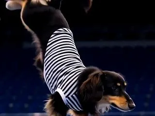まったりし過ぎて