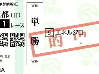 《勝負指定》3歳最終クラシック菊花賞