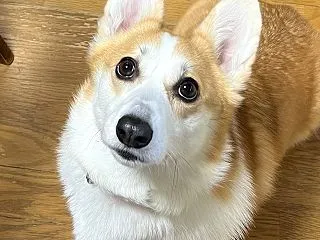 一点集中