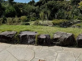 イベント日和
