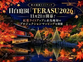 目白庭園の紅葉ライトアップ「TERASU…