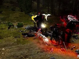 エルビアヘッセ聖域で楽しい狩りできました…