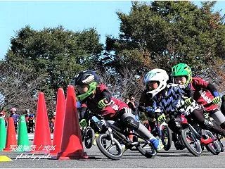 ストライダー