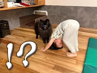 犬を迎えたはずが、幼児がもう一人増えた件