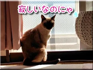 パールから銀へ