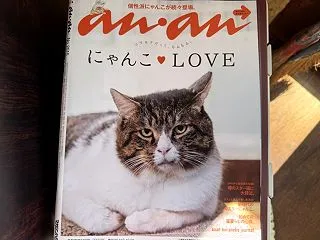 推し猫満載「an・an」📚と猫グッズ