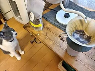 【電気ドリップケトル】ひとり部屋の必須家…