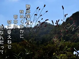 「秋めく日々」