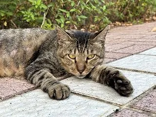 本日のベストスリー１０月１７日