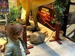 ワルシャワ二日間②