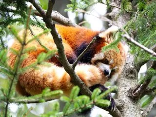 千葉市動物公園 202609 31