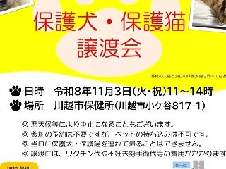 川越市保健所「保護犬・保護猫の譲渡会」の…