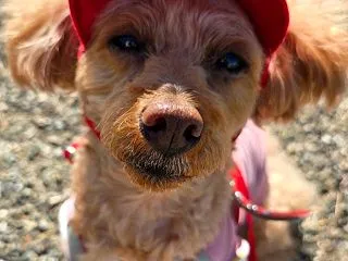 いやぁ、先日の緊急地震速報