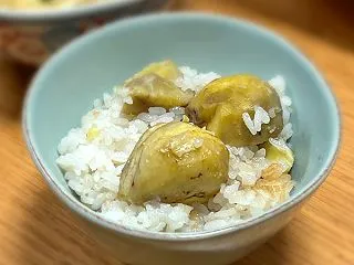 大きな栗の木の下で