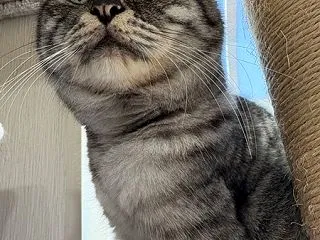 すもっち家の１週間～ぼんさん血液検査