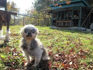 １０月のご予約終了させていただきます。