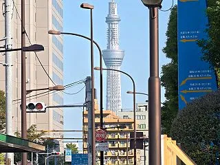 スカイツリーが見えた