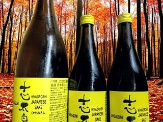 志太泉 ひやおろし原酒 志太泉酒造