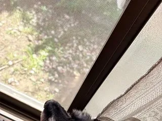 ふくすけ特集やっちゃうよ