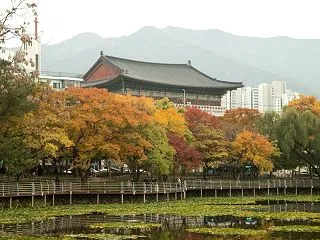 韓国の紅葉はいつが見頃?時期とおすすめ名…