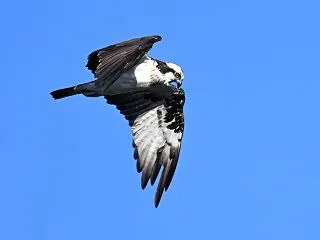 今日の河川敷！