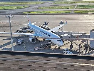 羽田空港で飛行機を見てきた！