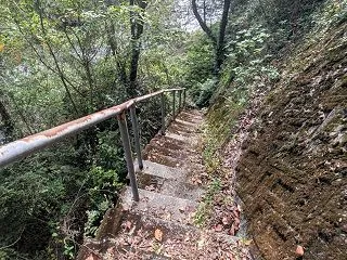 2026鮎終わり