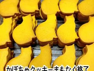 かぼちゃクッキーまもなく終了