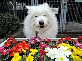 おかえり