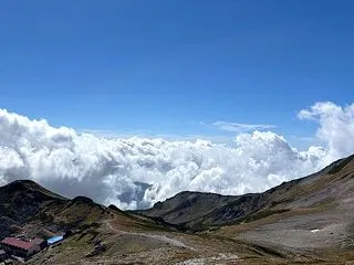 「運動すればするほど血が巡る」の落とし穴