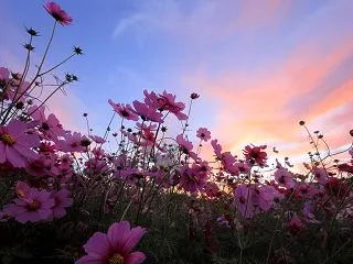 「秋彩の目覚め」 木股 滋樹