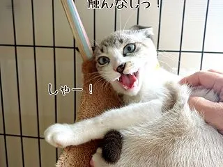 親の顔が見てみたいっ！