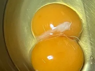 たまご占い 私の運勢は？