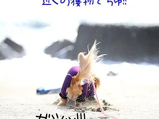 似非おちょぼ口！似非上品男子！笑(≧◇≦…